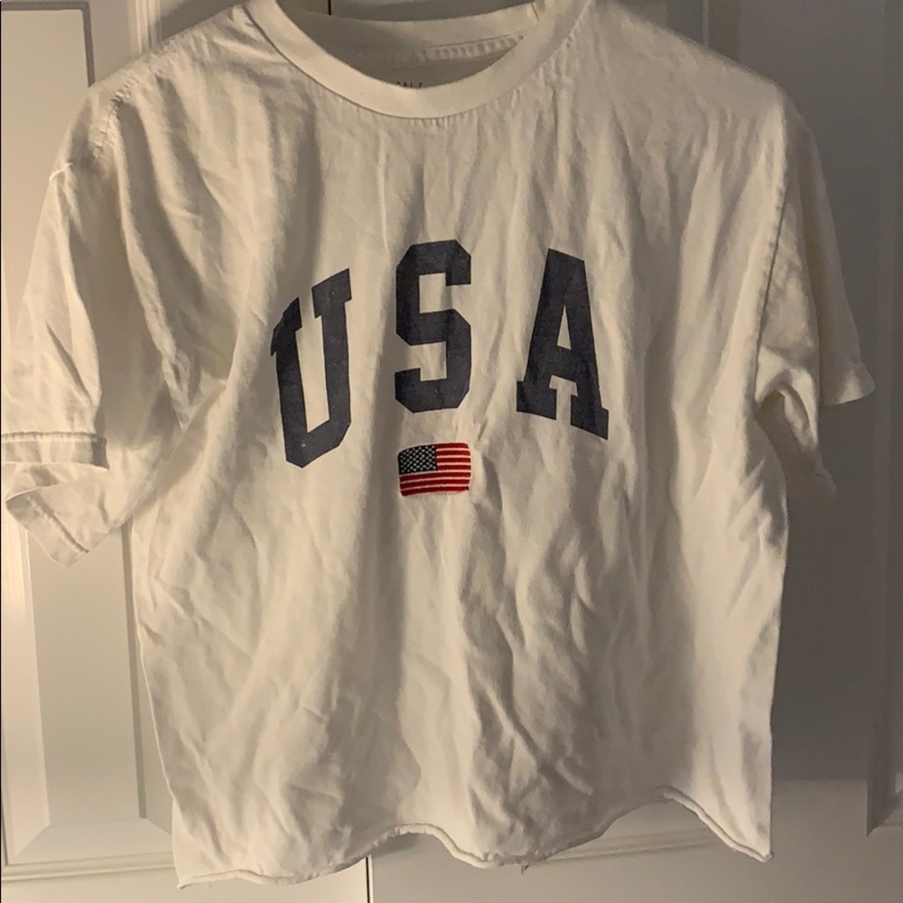 Brandy Melville cropped USA top!!